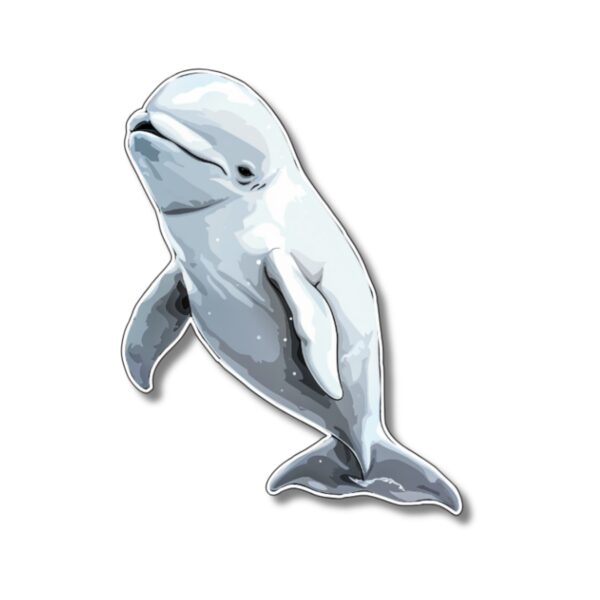 Beluga sticker. These stickers are made with printable vinyl with a vinyl top coat that is scratch-resistant and water resistant.