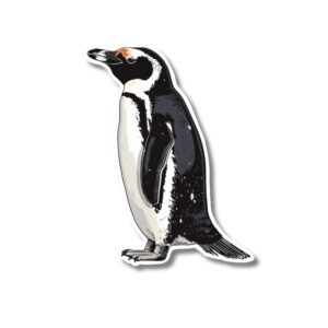 Penguin sticker. These stickers are made with printable vinyl with a vinyl top coat that is scratch-resistant and water resistant.