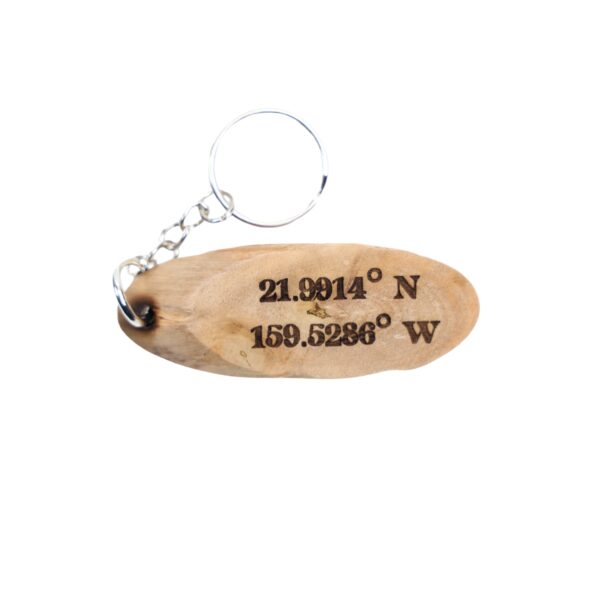 Jurassic Park Driftwood Keychain. “Clever girl.” front quote and Manawaiopuna Falls, Hawaii filming location of Jurassic Park longitude and latitude “21.9914° N, 159.5286° W” on the back. 